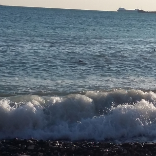 Сюрприз на майские праздники